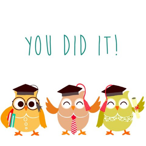 geslaagd-school-uiltjes