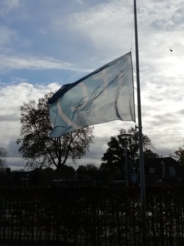 IMG_20201102_102928_resized_20201102_103546365 1