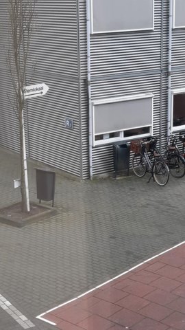 thumbnail_20210316_083119